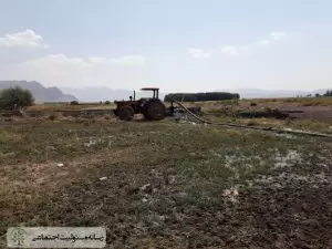 برداشت سیب زمینی