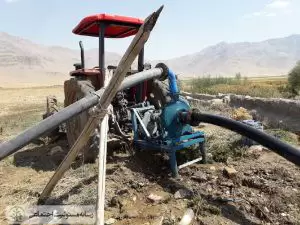 برداشت سیب زمینی