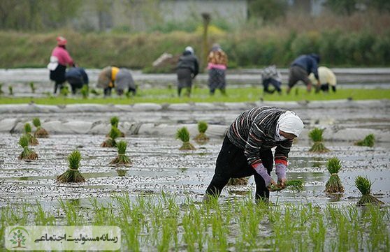 توسعه اشتغال و حمایت از کسب و کارهای روستایی در کشور
