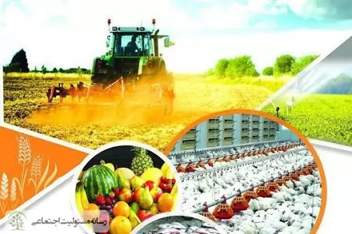 بررسی تاثیر اقتصاد مخرب کرونایی در بخش کشاورزی