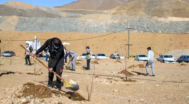 گره خوردن معیشت مردم با محیط زیست در طرح “درخت یاری”