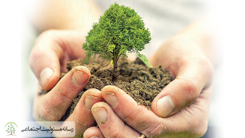راهکار و الزامات بیمه مسئولیت محیط زیست چیست؟