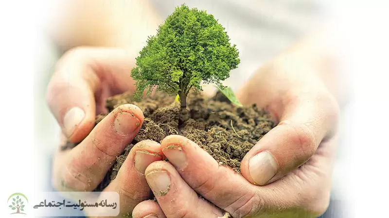 راهکار و الزامات بیمه مسئولیت محیط‌ زیست چیست؟