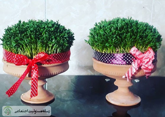 چرا به کمپین کاشت نهال به جای سبزه بپیوندیم ؟