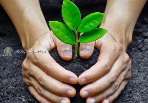 نقش روابط عمومی در توسعه پایدار محیط زیست