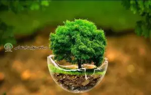 نقش روابط عمومی در توسعه پایدار محیط زیست