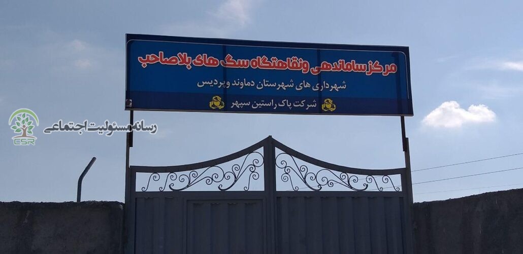 مقصر کشتار سگ های گندک کیست؟ کشتار سگ های گندک