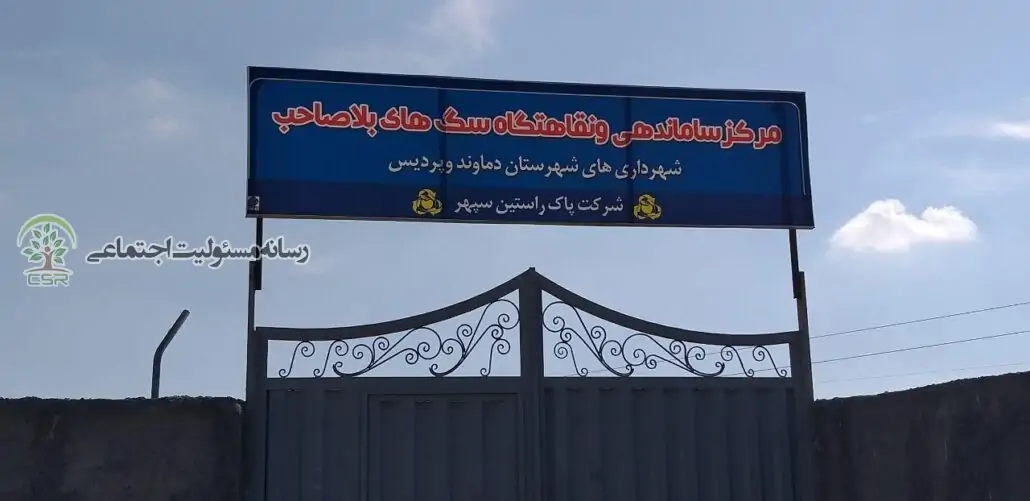 کشتار سگ های گندک
