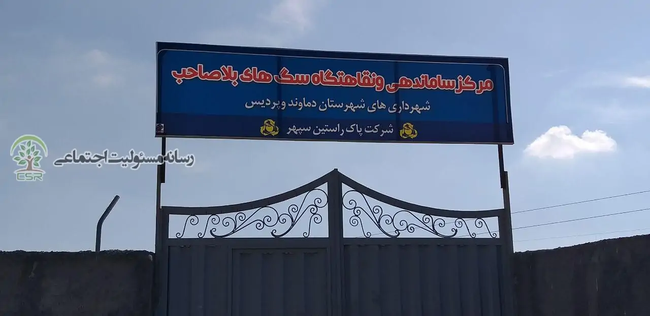کشتار سگ های گندک