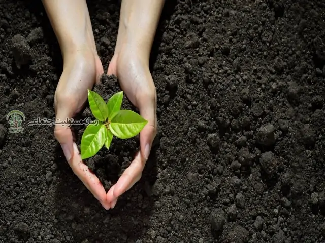 آیا خرید کالای دست دوم به پایداری محیط زیست کمک می کند؟