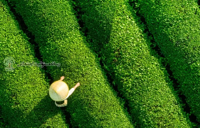 درک فرصت های پایدار برای آسیا