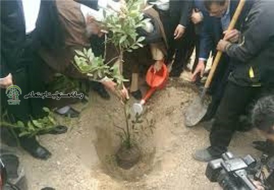 کاشت نهال توسط دانش آموزان ساوه ای در راستای مسئولیت اجتماعی