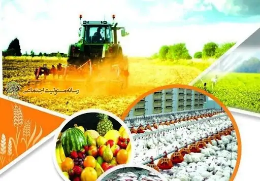 اشتغال‌زایی مصداقی از مسئولیت اجتماعی و جهاد اکبر است