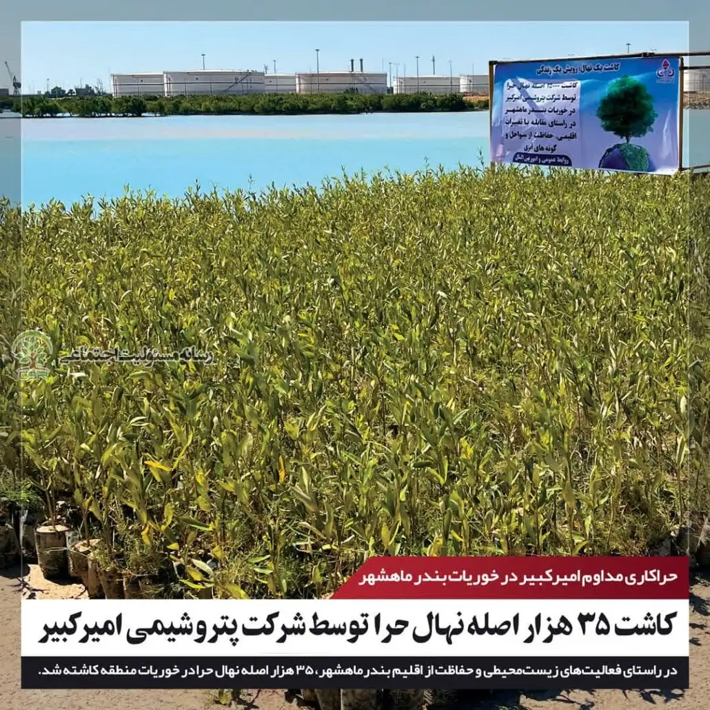 حراکاری مدام پتروشیمی امیرکبیردر حوریات بندرماهشهر حراکاری پترشیمی امیرکبیر