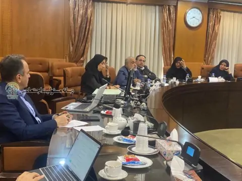 گزارشی یازدهمین کارگروه توانبخشی فرهنگستان علوم پزشکی