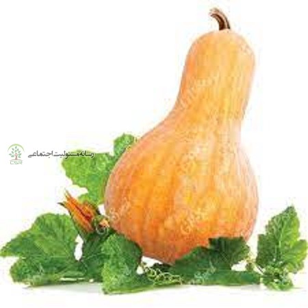 کدو حلوایی