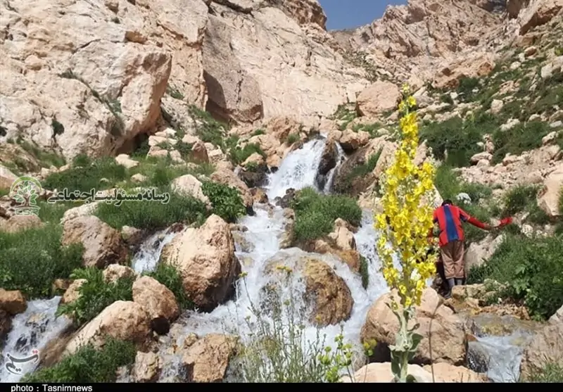 توقف سد ماندگان