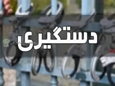 دستگیری شکارچیان غیرمجاز در منطقه شمیرانات تهران دستگیری شکارچیان غیرمجاز در منطقه شمیرانات تهران
