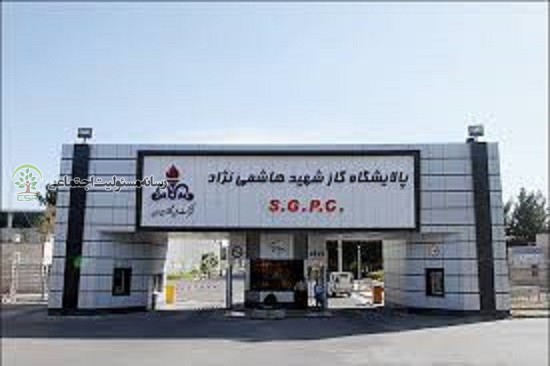 شرکت پالایش گاز شهید هاشمی_نژاد