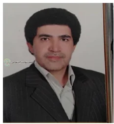 محسن ابراهیم پور میر