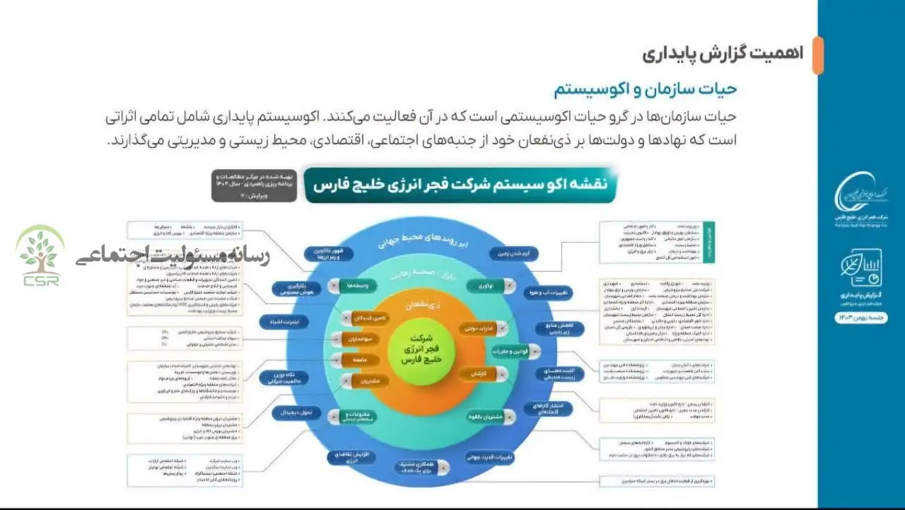 گزارش پایداری