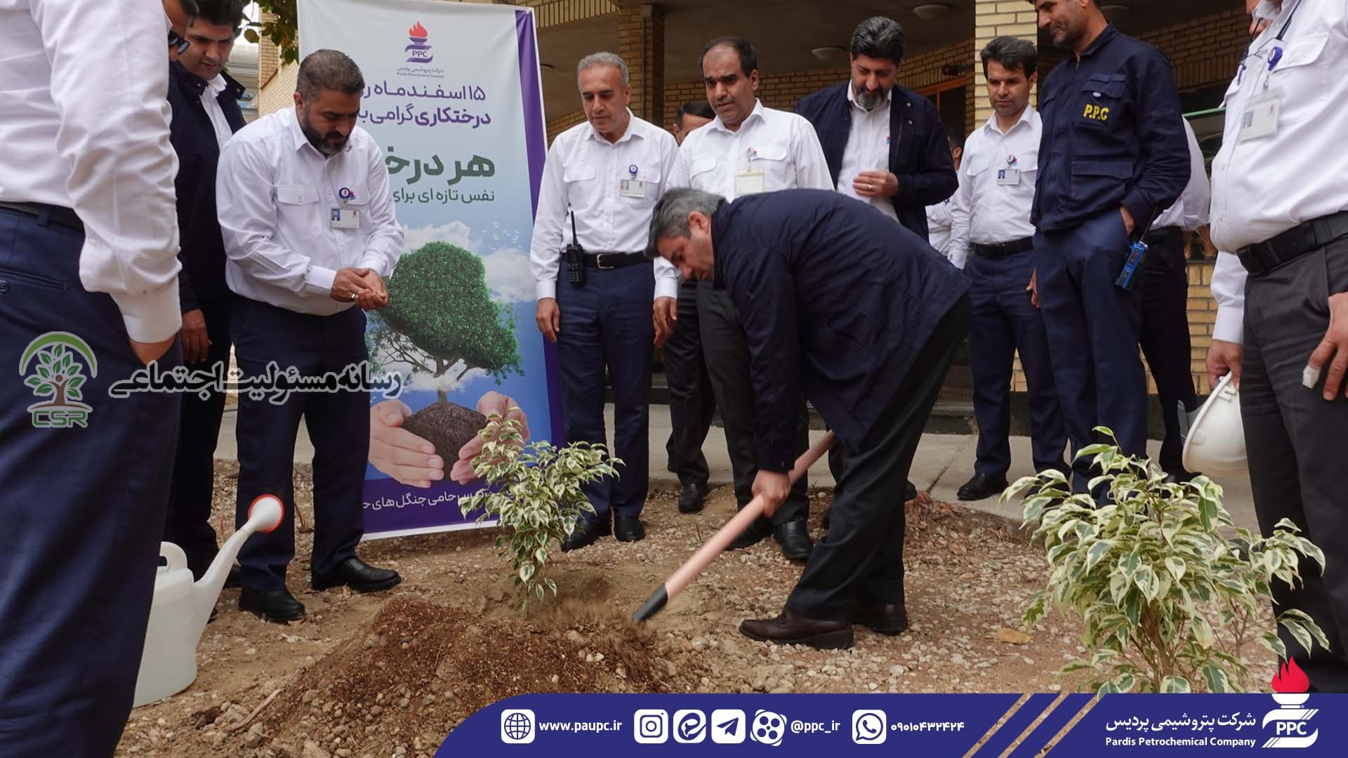 پتروشیمی پردیس