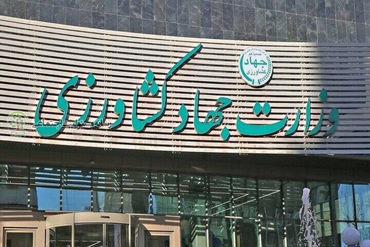 رسانه مسئولیت اجتماعی گزارش می دهد؛برنج و سیب زمینی آلوده در بازار / وزارت جهاد کشاورزی و ضعف در مسئولیت اجتماعی
