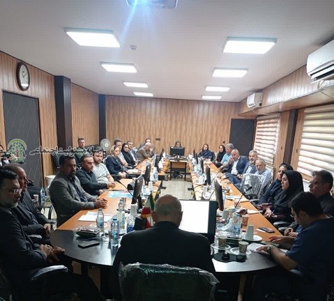 به همت شبکه بهداشت و درمان رباط کریمبرگزاری نخستین سلسله نشستهای مسئولیتپذیری اجتماعی بیمارستانها و شبکه ها با بنگاهها و شرکتهای اقتصادی