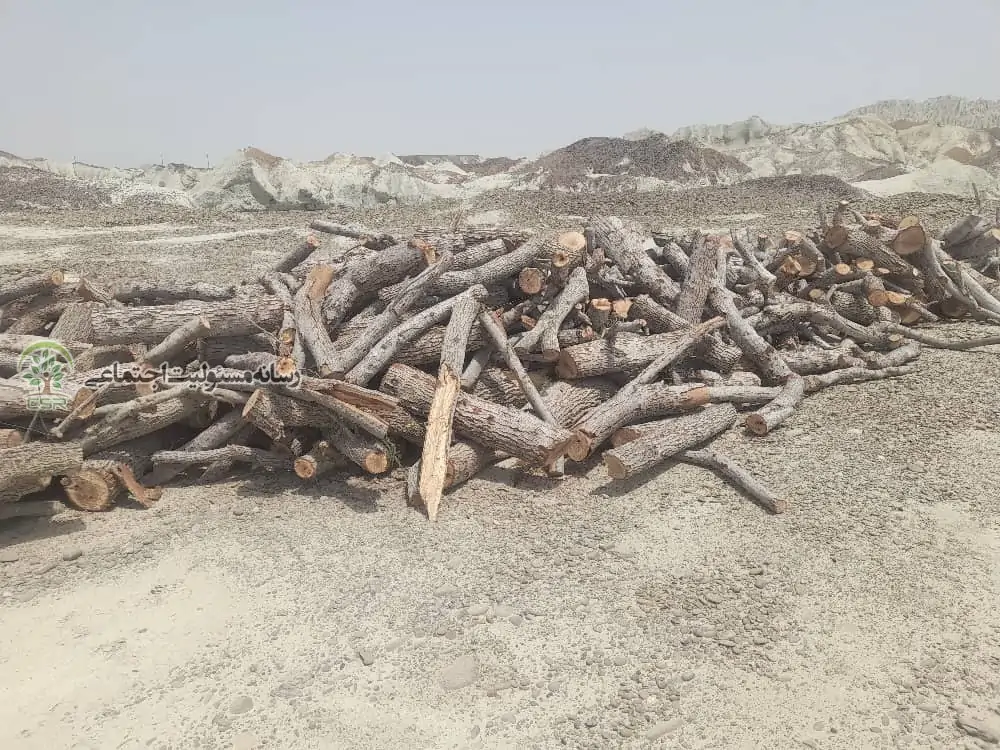 نامه سرگشاده درخواست لغو مجوز قطع درختان و درختچه های بومی عرصه های ملی استان سیستان وبلوچستان نامه سرگشاده درخواست لغو مجوز قطع درختان و درختچه های بومی عرصه های ملی استان سیستان وبلوچستان