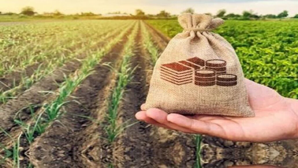 تعیین ۶۳۵ هزار تومان حق بیمه گندمزار از هر کیلوگرم گندم – خبرگزاری مهر | اخبار ایران و جهان
