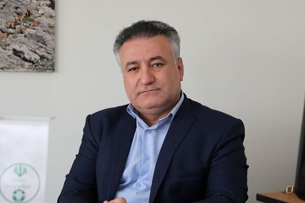 تشکیل دو پرونده صید غیرمجاز ماهی در بیجار – خبرگزاری مهر | اخبار ایران و جهان