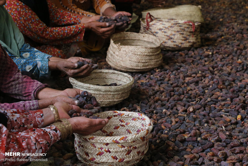 صفحهٔ درخواستی شما یافت نشد.