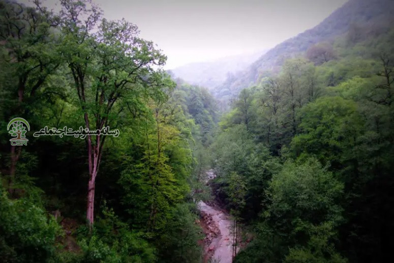 خسارات زیستمحیطی جنگ؛ تخریب ۷۵۰۰ هکتار از پوشش گیاهی خسارات زیستمحیطی جنگ؛ تخریب ۷۵۰۰ هکتار از پوشش گیاهی